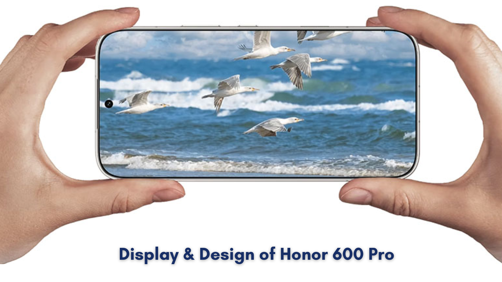 Honor 600 Pro Price in Nepal